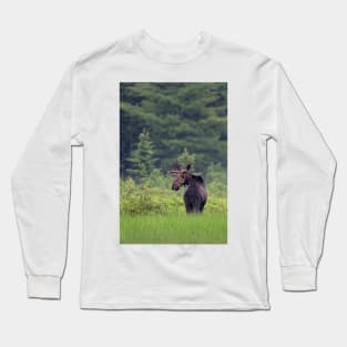 Canadian Moose, Algonquin Park, Canada Long Sleeve T-Shirt
